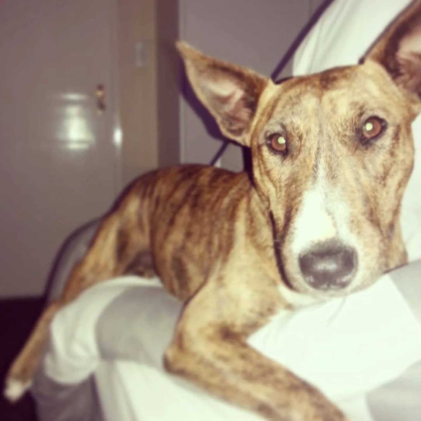 A photo of Hayley